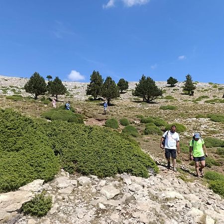 Dinosaur House Apartman Coll de Nargó Kültér fotó