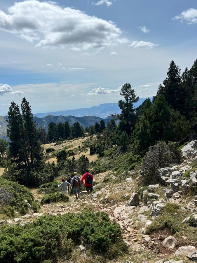 Dinosaur House Apartman Coll de Nargó Kültér fotó
