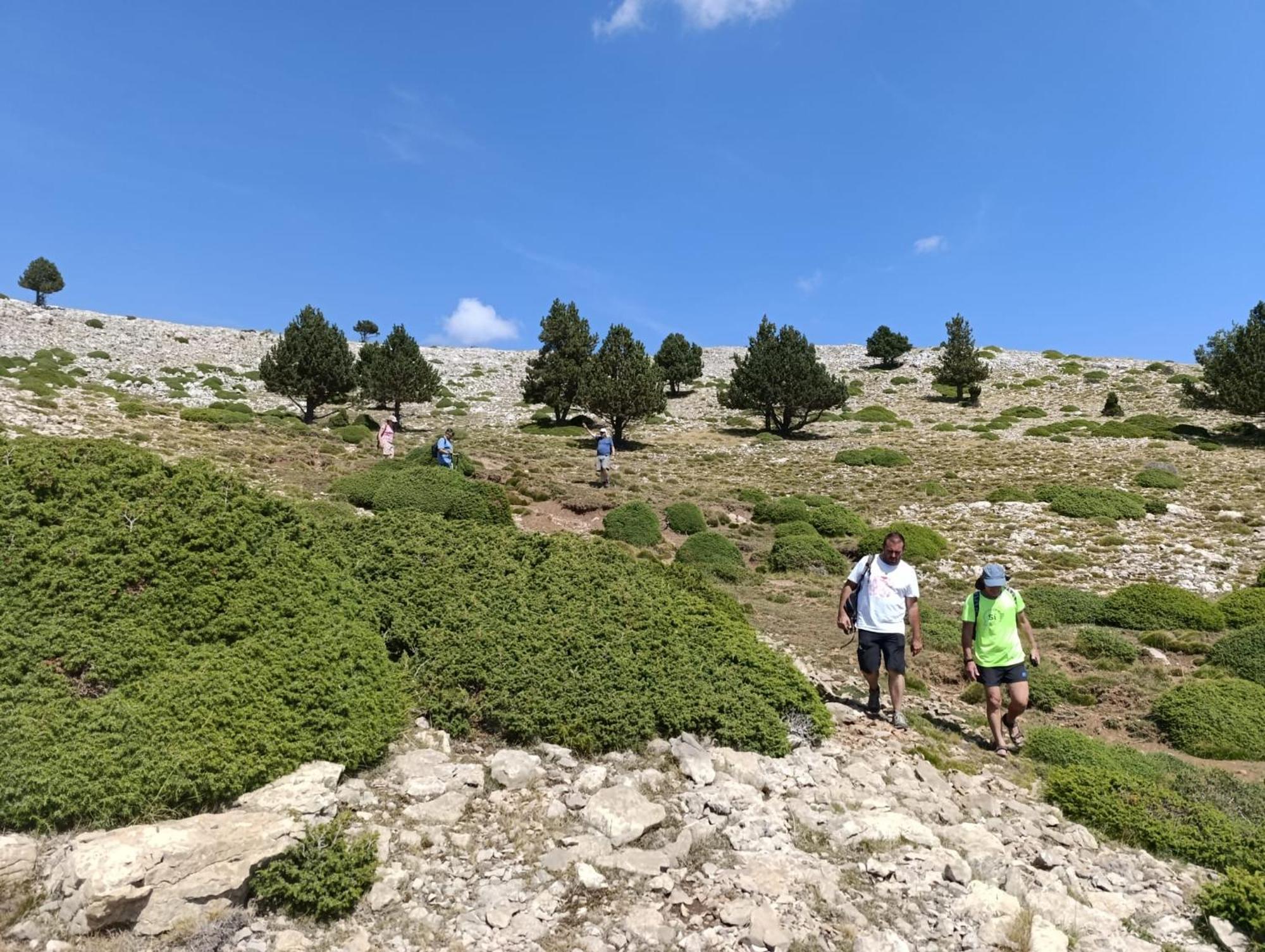 Dinosaur House Apartman Coll de Nargó Kültér fotó